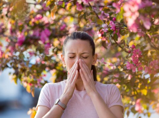 Vyzkoušejte přírodní cesty, jak řešit jarní alergie: Pomoci mohou obklady, lokální med i byliny