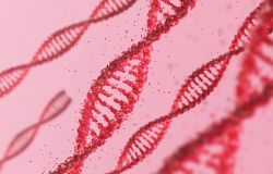 Mezinárodní den DNA: Co všechno o nás dnes prozradí genetika?