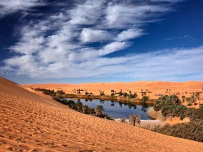 Díky vodě ze záchodu pěstují Egypťané lesy v poušti