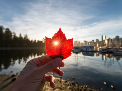Kanada v roce 2050? Chce být zelenou supervelmocí bez chudoby