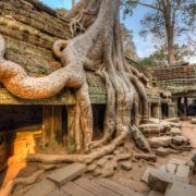 V chrámovém komplexu poblíž Siem Reapu se proměníte v odvážnou archeeložku, která nebojáčně objevuje staré záhané civilizace. Není divu, že se na tomto místě natáčel i slavný snímek Tomb Rider.