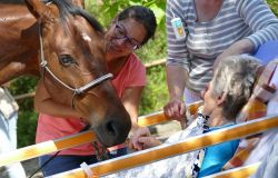 Kůň umí vycítit nemoc a přinést úlevu. Asistenční jednorožec pomáhá seniorům i v paliativní péči