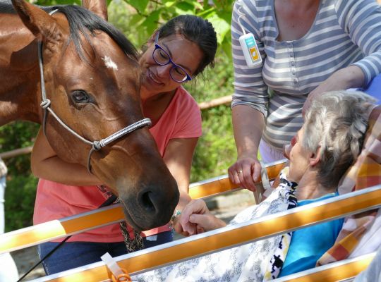 Kůň umí vycítit nemoc a přinést úlevu. Asistenční jednorožec pomáhá seniorům i v paliativní péči