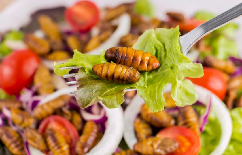 Hmyz v jídelníčku je výživový pokus. Byla bych opatrná, říká Margit Slimáková
