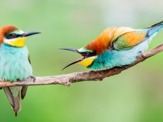 Lezou vám hádky krkem? Jednoduchý postup, jak jednat s vysoce konfliktní osobou