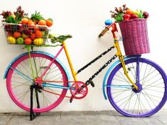 Štvou vás předražené papriky? Ulevte peněžence sezónní stravou