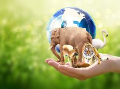 Každý den vymře 82 druhů zvířat. Vědci je chtějí za pomoci DNA znovu stvořit