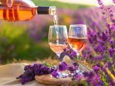 Kalendárium: Dnes oslavujeme rosé - glamour nápoj pro náročné