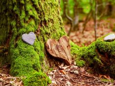 Rozpuštění, kompost i zmrazení: Ekologický pohřeb 4krát jinak