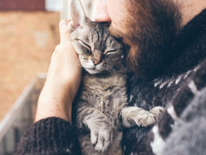 Kalendárium: Dnes obejměte svou kočku. Možná vám to prodlouží život