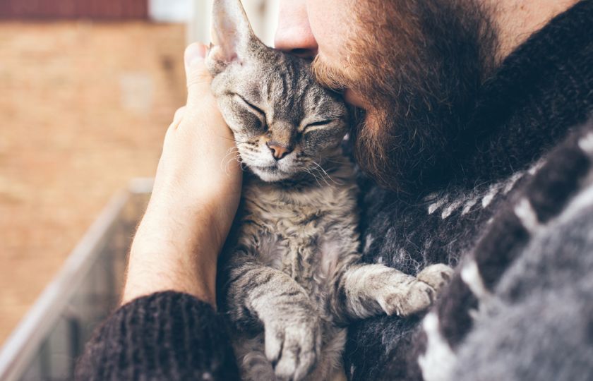 Kalendárium: Dnes obejměte svou kočku. Možná vám to prodlouží život