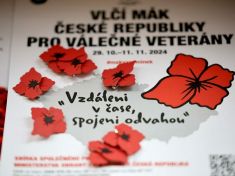 Dnes začíná sbírka Vlčí mák České republiky pro válečné veterány