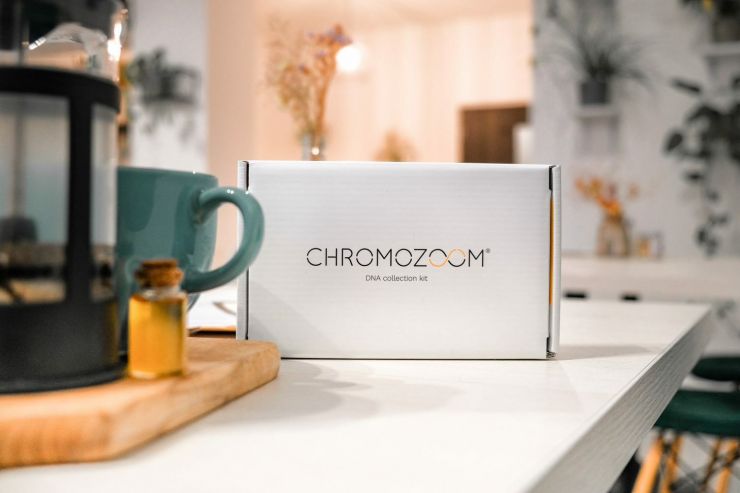 chromozoom 1