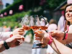 Svátek růžových vín a „bublinek“ na Pražském hradě: Přes 1 600 milovníků vína ochutnalo to nejlepší z Čech a Moravy!