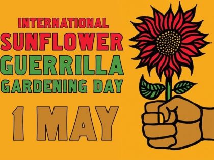 Kalendárium: Mezinárodní den partyzánského sázení slunečnic