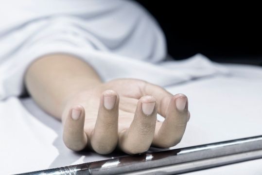 m shutterstock 2124119345