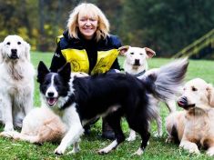 Správný pes se musí pro canisterapii narodit. Nestačí, že se rád mazlí s lidmi, říká ředitelka výcviku