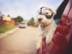 Proč nejsme ve vztazích sami sebou? Psycholog radí, jak ukázat pravé já