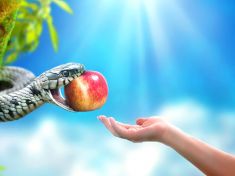 Láska, která přitahuje jako magnet. Jenomže protipól je manželem mé sestry