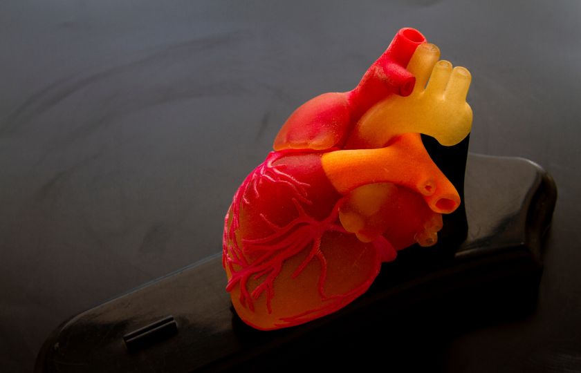 Zdravotní péče ve světě: Orgány vytištěné na 3D tiskárnách a chat-box místo doktora