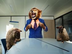 Alfa je vůdce a Sigma osamělý vlk, Omegy jsou v modelu sociosexuální hierarchie loseři. Najdete se?