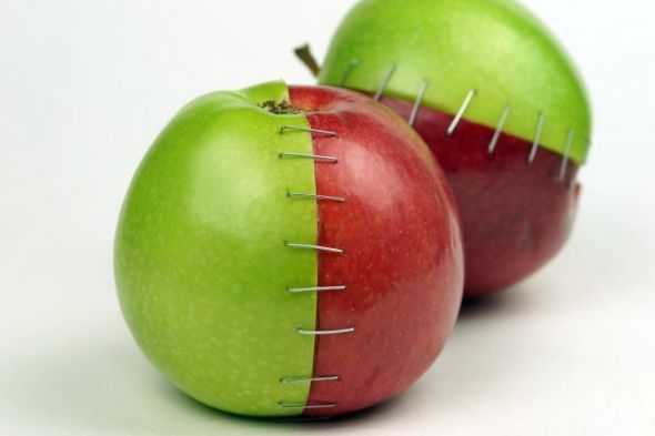 shutterstock 1880586409