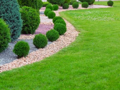 Hit sezóny: Travní koberec vytvoří zelenou oázu a nikdy neuschne