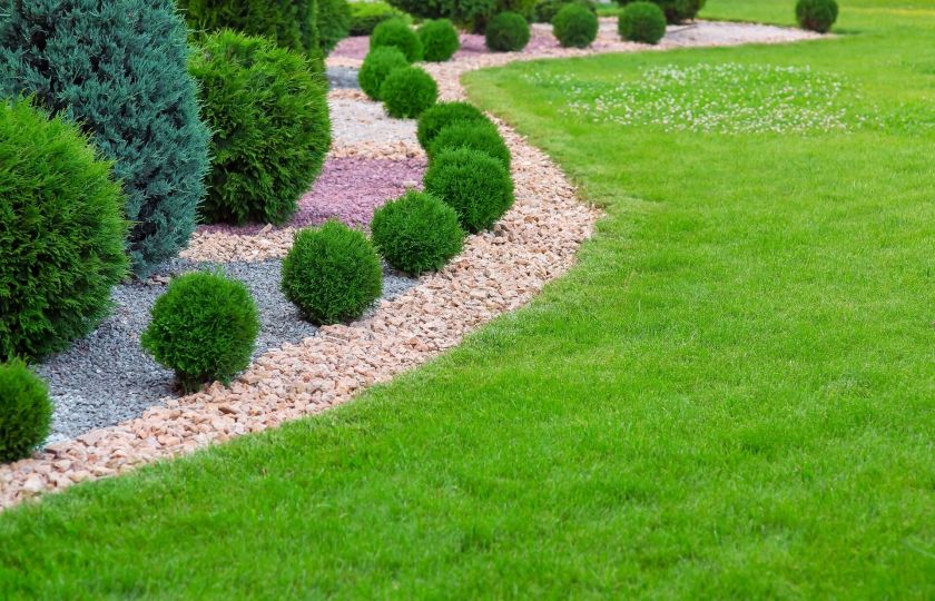 Hit sezóny: Travní koberec vytvoří zelenou oázu a nikdy neuschne