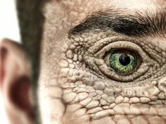 Disney v ledu i svět bez ptáků: Konspirační teorie, které stále hýbou internetem