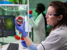 Jsou náhražky masa zdravější než maso? Výsledky nejnovější studie vás překvapí