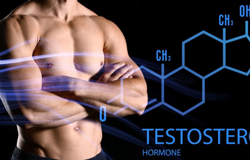 Snížená hladina testosteronu: Co by o ní měl vědět každý muž?