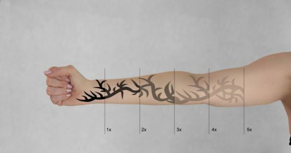 shutterstock 2255118721