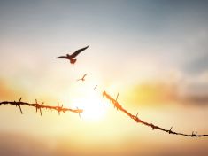 Naučte se odpouštět, ostatním i sami sobě. Úleva se vám vepíše do tváře