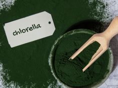 Zázračná sladkovodní řasa: Chlorella působí na cholesterol i krevní tlak, ukázaly studie. Není ale pro každého