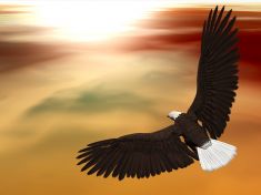 Mayský astrolog radí: V období Orla dovolte životu, aby vás obdaroval