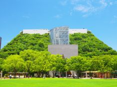 Kalendárium: Oslavte Světový den zelených střech. Potěší totiž nejen tělo a duši, ale také peněženku