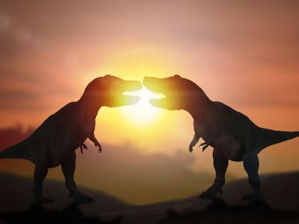 Jaký sex měl Tyrannosaurus Rex? Všechno, co víme o milostném životě dinosaurů