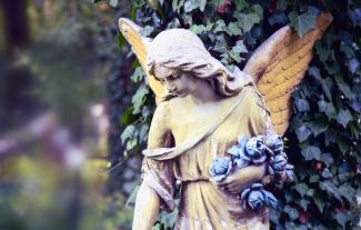Až nás andělé zavolají k sobě: Čeho lidé litují na smrtelné posteli