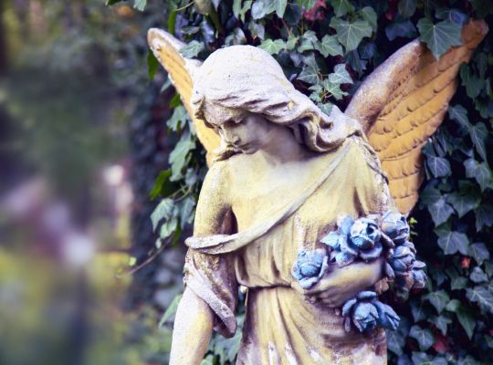 Až nás andělé zavolají k sobě: Čeho lidé litují na smrtelné posteli