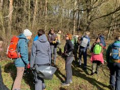 Pojďte nám pomoci uklidit lesy. VLS zve dobrovolníky do Brd