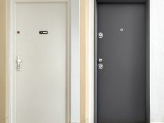 Jak se nespálit při výběru vchodových dveří do bytu?