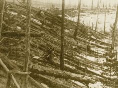 Kalendárium: Přistáli před 125 lety v Tungusce mimozemšťani, nebo spadl meteorit?