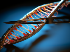 Nová naděje pro HIV pozitivní pacienty: Geneticky modifikovaná léčba v ostré fázi