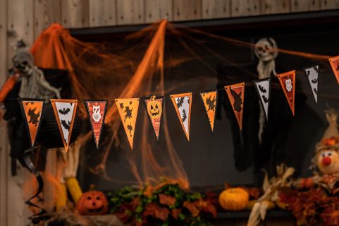 dsc 2681 51512049573 o