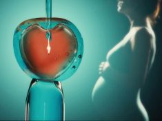 Darovaná vajíčka a zamlčená pravda. Nový román otevírá citlivé otázky