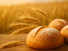 Moderní pšenice škodí všem. Naše tělo ji nezvládá, varuje výživový poradce