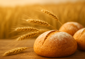 Moderní pšenice škodí všem. Naše tělo ji nezvládá, varuje výživový poradce