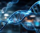 Genetické testy jako nový standard prevence? Uplatnění najdou u závažných diagnóz i v běžném životě