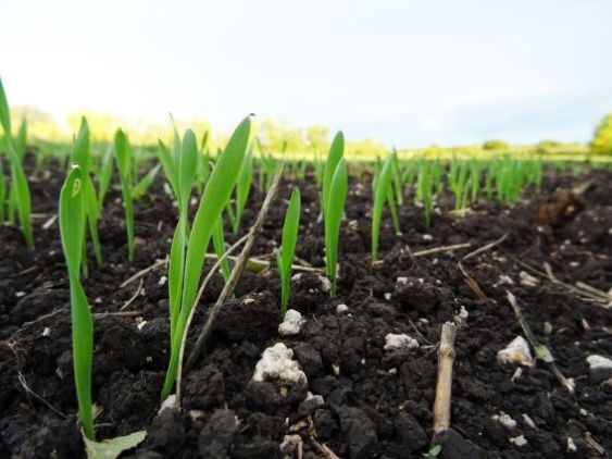 shutterstock 2205559449