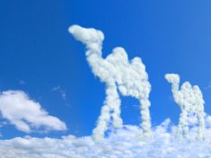 Sny jsou naprosto upřímné. Ukazují nám, jaký život vedeme, říká profesionální vykladač